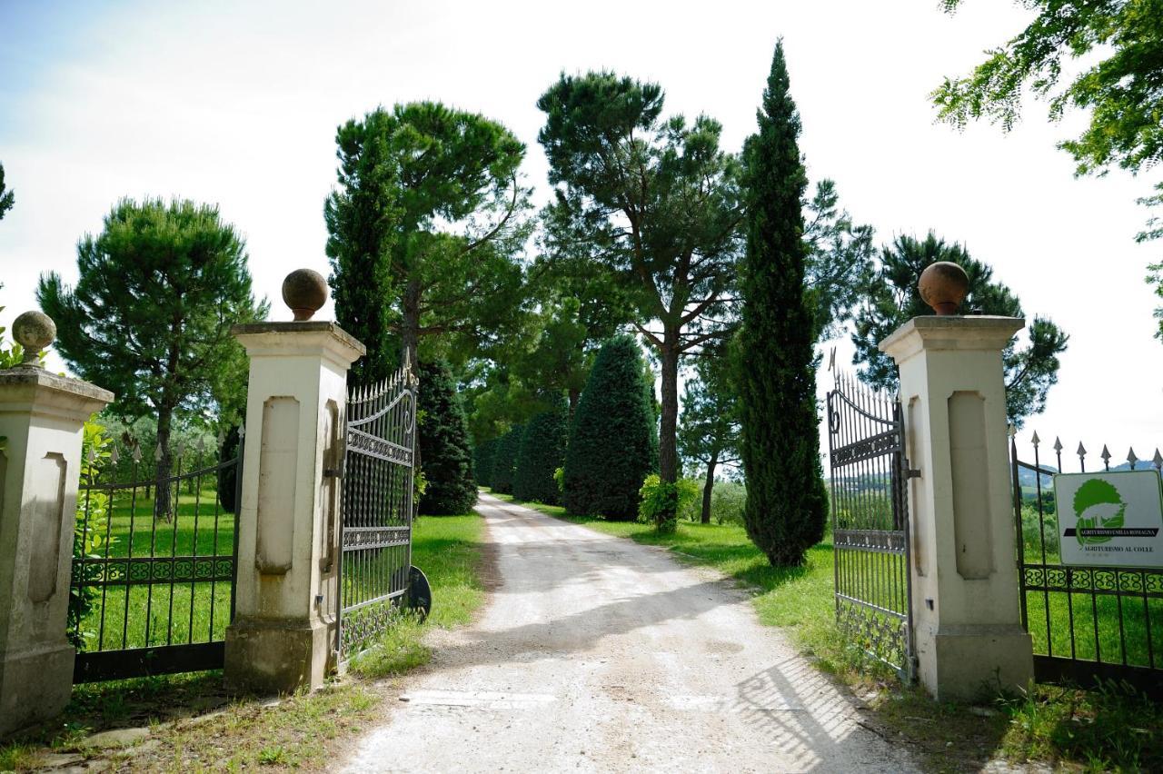 Agriturismo Al Colle Bertinoro Eksteriør bilde