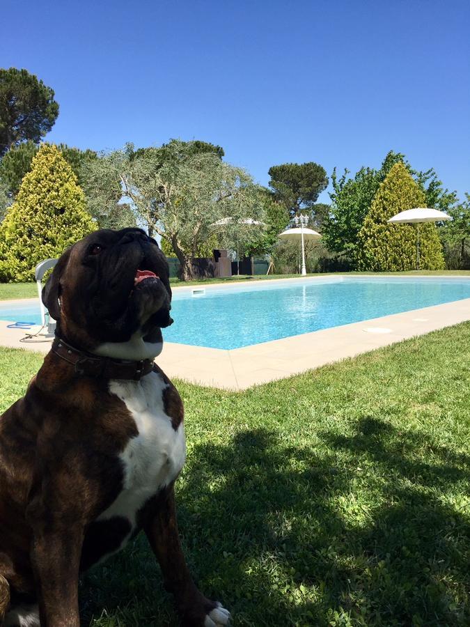 Agriturismo Al Colle Bertinoro Eksteriør bilde